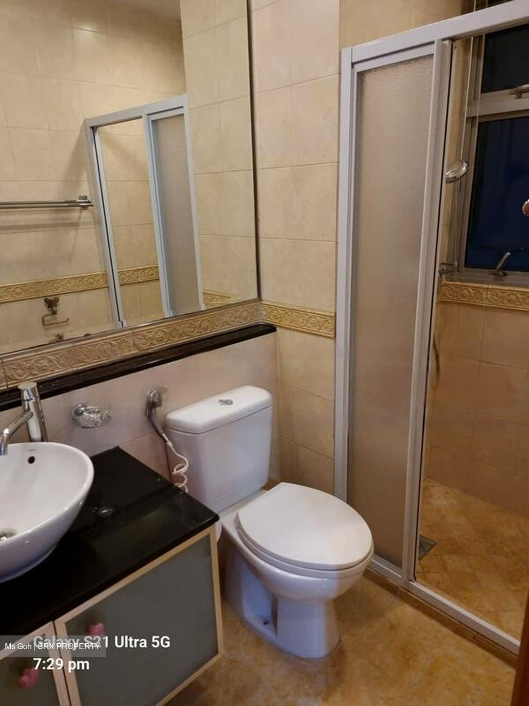 Thomson Euro-asia (D11), Condominium #600345411